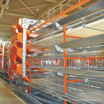 Chicken Cage Henhouse Poultry Equipment Chicken Cage Henhouse Poultry Equipment